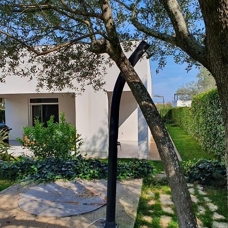 Villa Tea Zadar Buitenkant foto